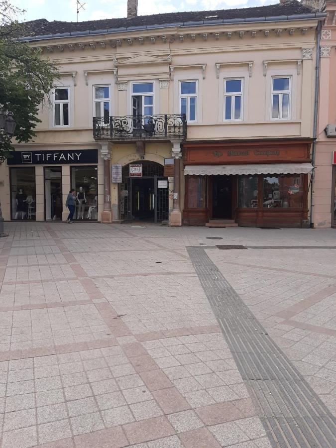 Apartmani Sara Novi Sad Eksteriør bilde