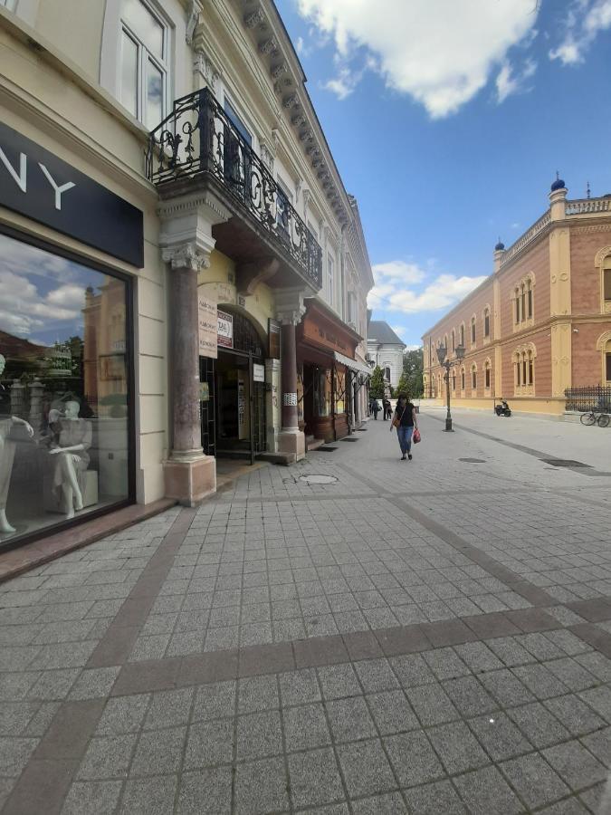 Apartmani Sara Novi Sad Eksteriør bilde